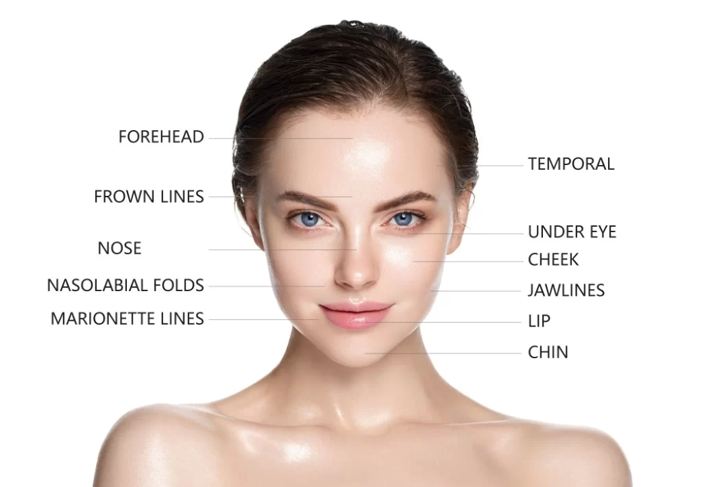 Dermal Fillers for Face Rejuvenation